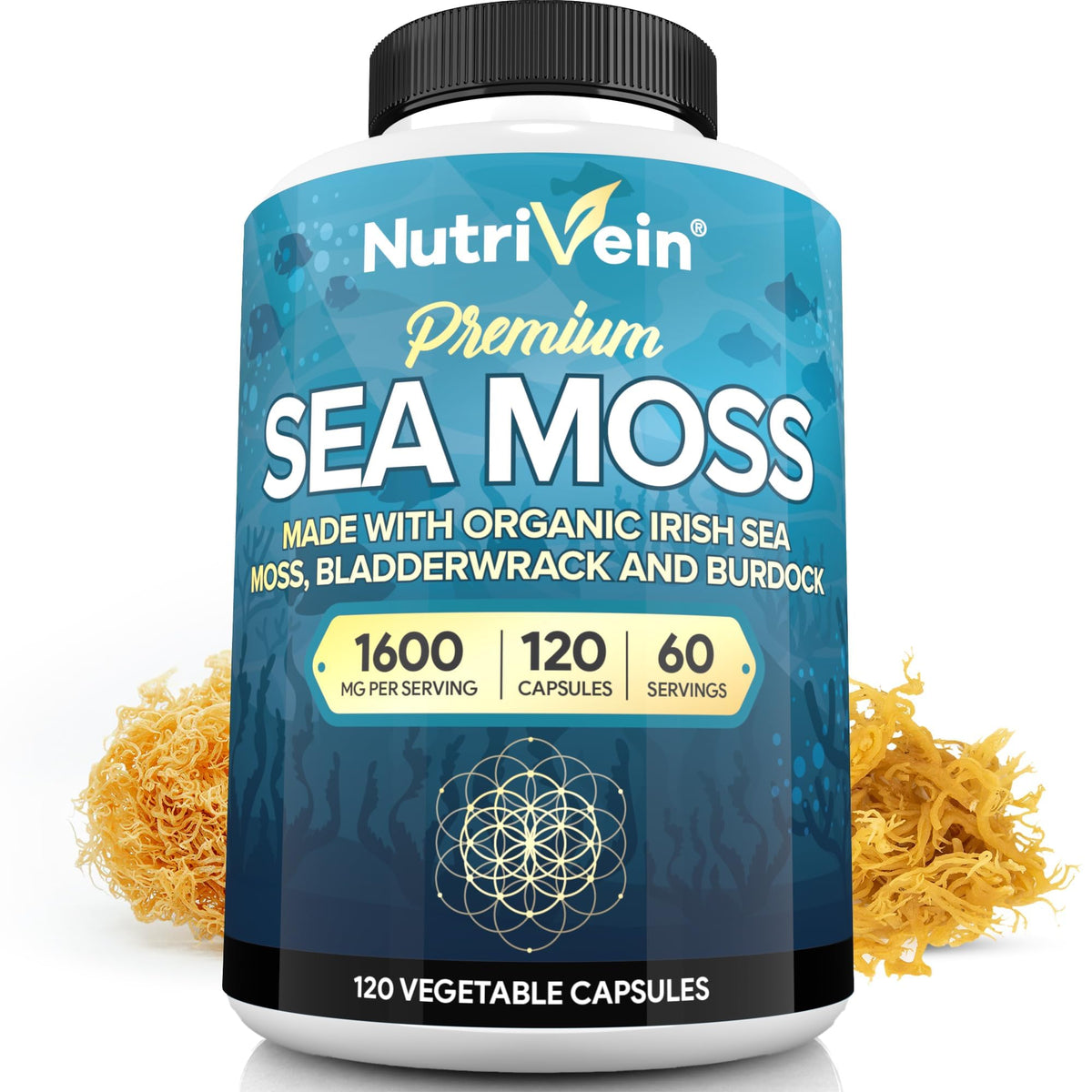 Nutrivein Organic Sea Moss 1600mg Plus Bladderwrack & Burdock - 120 Caps for Adults - Prebiotic Super-Food - Immune System & Digestive Health - FENGGESTORE20