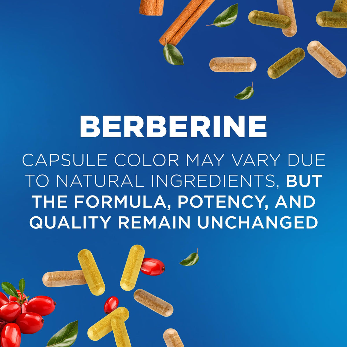 Nutrivein Premium Berberine 1200 mg with Ceylon Cinnamon - 120 Capsules: High-Absorption Berberine Supplement - FENGGESTORE20