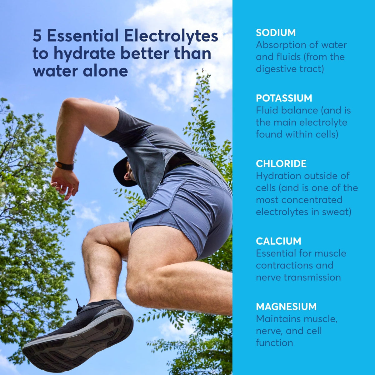 Nuun Sport Electrolyte Powder Packets with Magnesium, Calcium, Potassium, Chloride, and Sodium, Hydration Packets for On-the-Go, Pink Lemonade Flavor, Gluten Free & Vegan, - FENGGESTORE20
