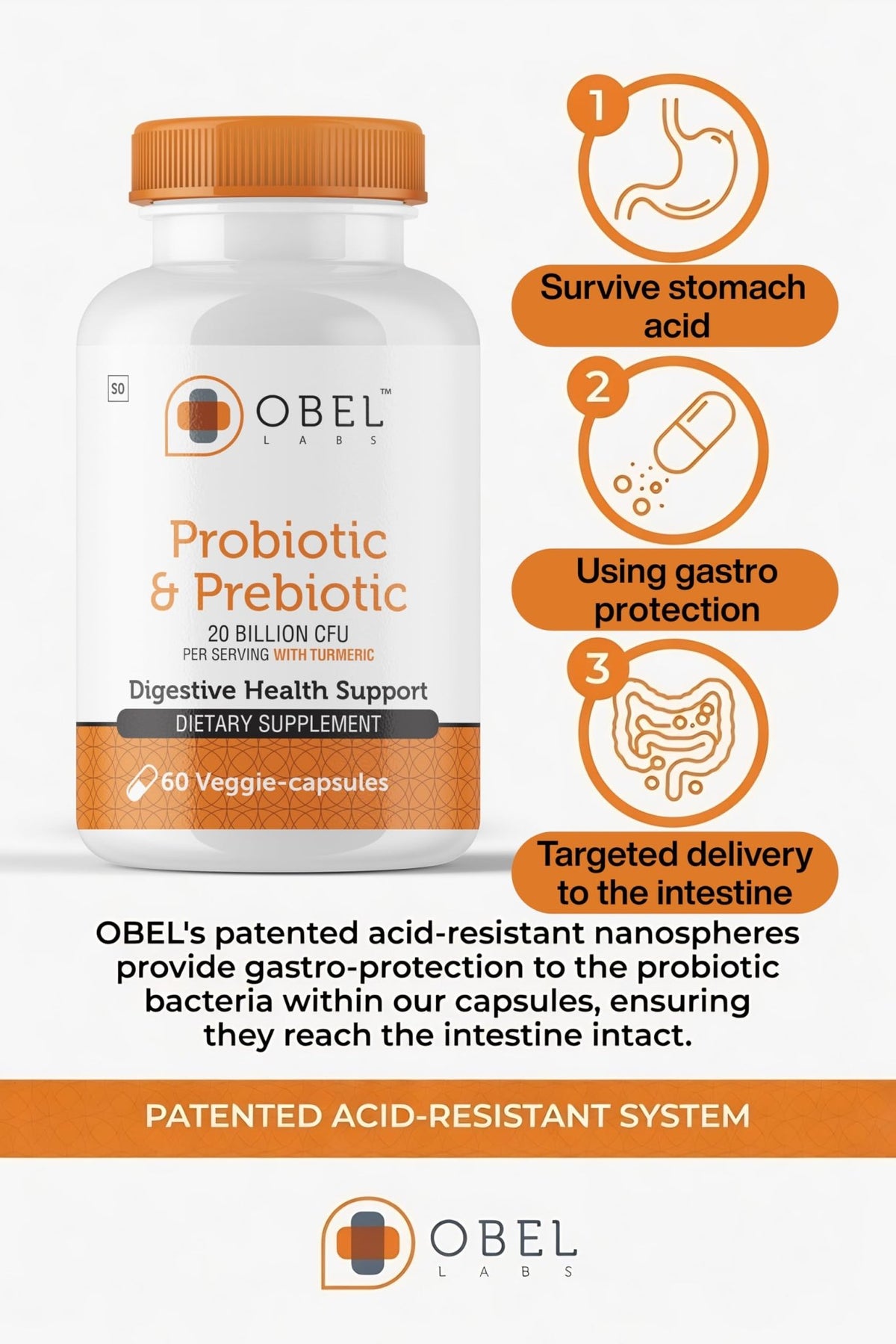 obel Probiotic & Prebiotic Supplement with Turmeric | 20 Billion CFU | 60 Capsules (30 Day Supply) | 4 Strains | Supports Digestion - FENGGESTORE20