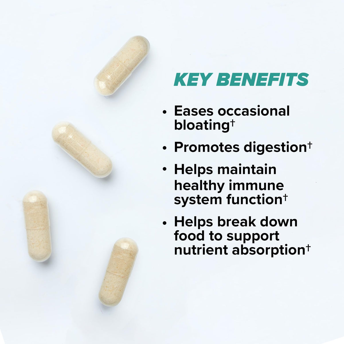 ONNIT Total Gut Health Daily Digestive Support, IGEN Non-GMO Tested Digestion Supplement for Women and Men with 7 Strains of Probiotics, Prebiotics, - FENGGESTORE20