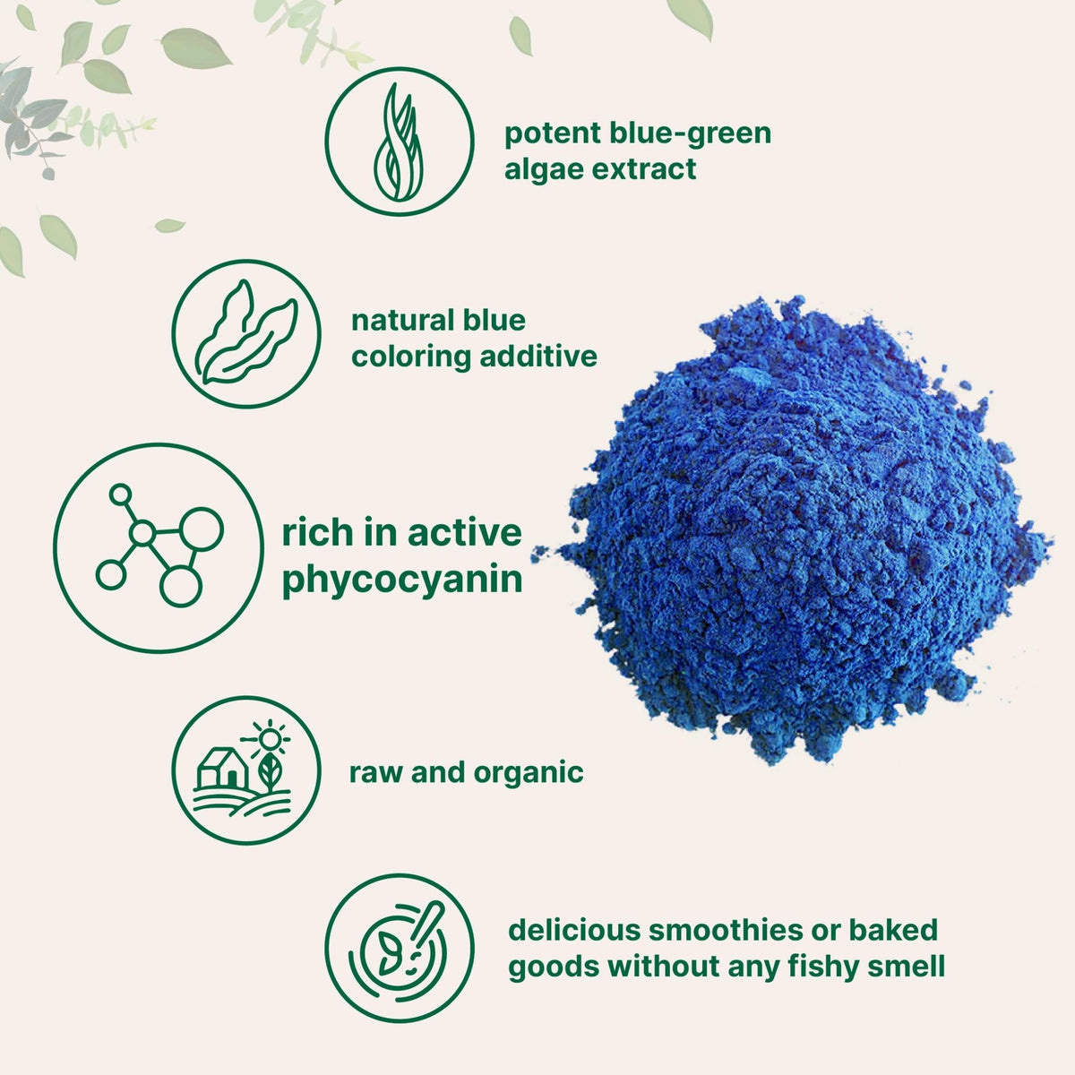 Organic Blue Spirulina Powder (Phycocyanin Extract), 30 Servings - No Fishy Smell, 100% Vegan Protein from Blue-Green Algae, Natural Luminous Food - FENGGESTORE20