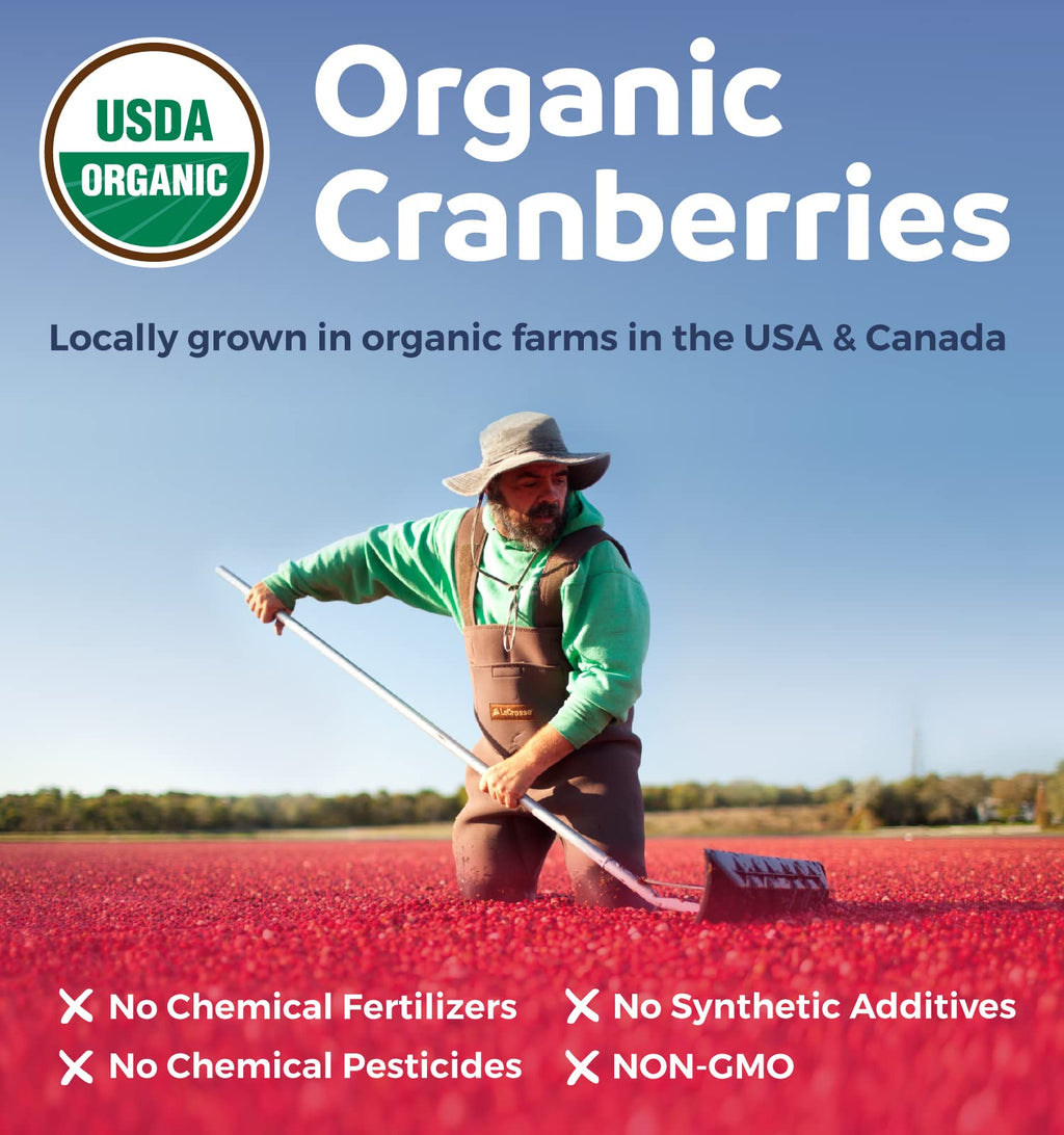 Organic Cranberry Pills - Vegan Supplement for Urinary Tract Health & Kidney Cleanse - Cranberry Pills for Women 500mg 50:1 Cranberry Concentrate Per Serving - FENGGESTORE20