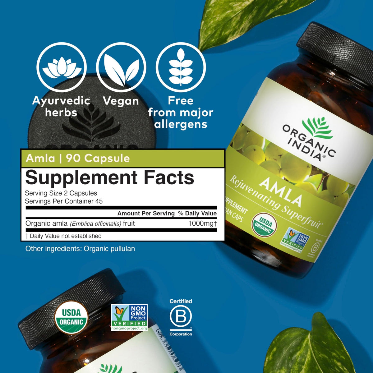 ORGANIC INDIA Amalaki Herbal Vitamin Supplement - Immune Support, Vitamin C, Vegan, Gluten-Free, Kosher, Ayurvedic, Antioxidant - FENGGESTORE20
