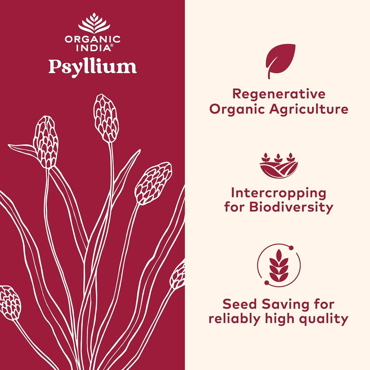 ORGANIC INDIA Psyllium Herbal Powder - Whole Husk Fiber, Vegan, Gluten-Free, USDA Certified Organic, Non-GM - FENGGESTORE20