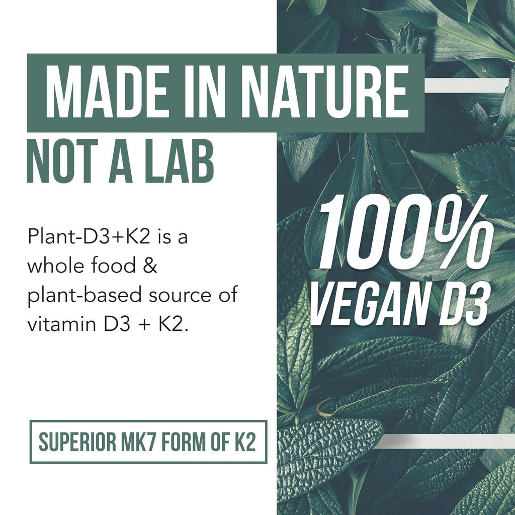 Organic Plant D3 + K2 | 5000 iu D3 + 120 mcg K2 as All-Trans MK7 from MenaQ7® - 100% Whole Food, Raw & Vegan | Enhanced Digestion with Prebiotic - FENGGESTORE20