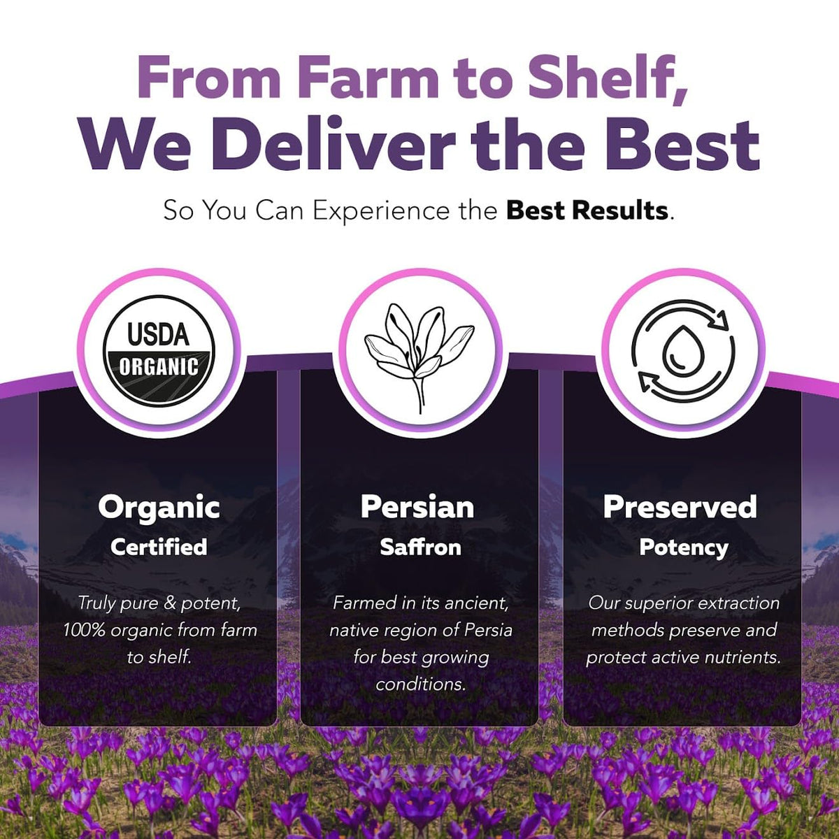 Organic Saffron Extract: Optimized Extract with Safromotivines, Safranal, and Crocins – Clinically Studied | Premium Persian Sargol Quality | Supports Mood, - FENGGESTORE20