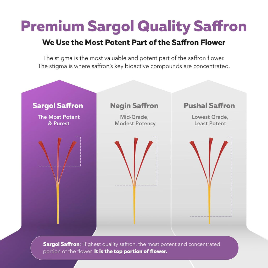 Organic Saffron Extract: Optimized Extract with Safromotivines, Safranal, and Crocins – Clinically Studied | Premium Persian Sargol Quality | Supports Mood, - FENGGESTORE20
