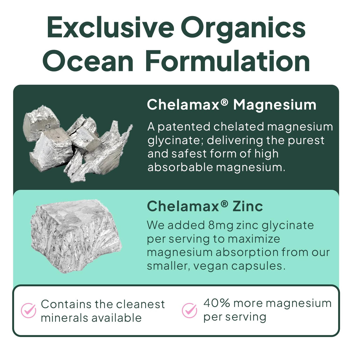 Organics Ocean Pure Magnesium Glycinate with Zinc - Maximum Strength Chelated Magnesium Supplement for Women and Men - FENGGESTORE20