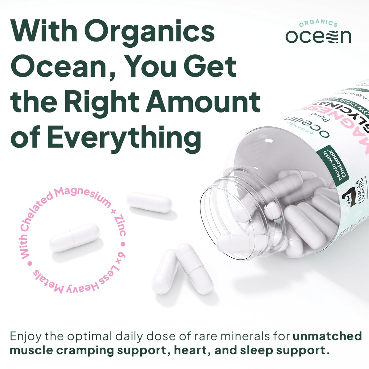 Organics Ocean Pure Magnesium Glycinate with Zinc - Maximum Strength Chelated Magnesium Supplement for Women and Men - FENGGESTORE20