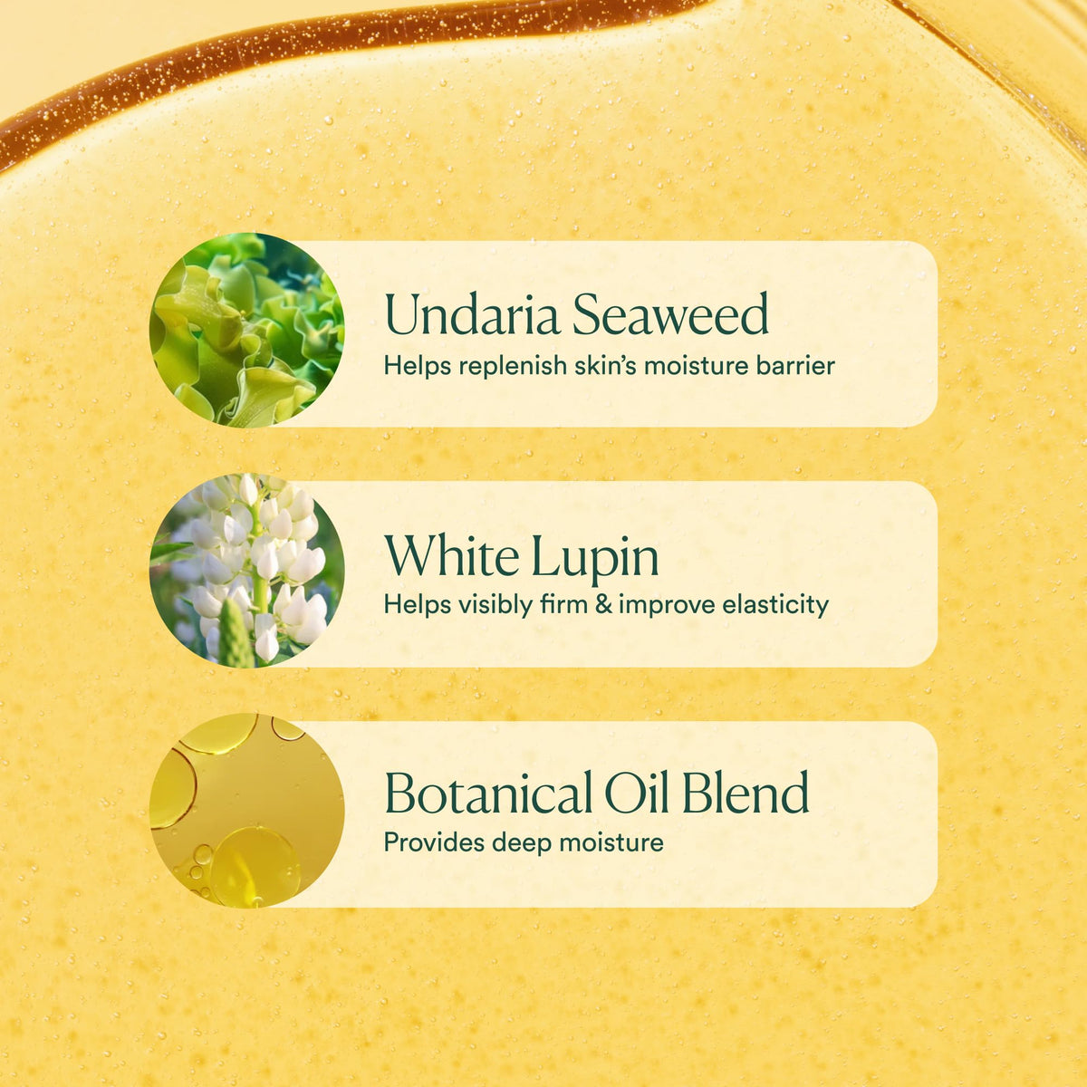 OSEA Undaria Algae Body Oil 5 oz – Visibly Firming, Deeply Moisturizing, Instantly Improve Elasticity - FENGGESTORE20