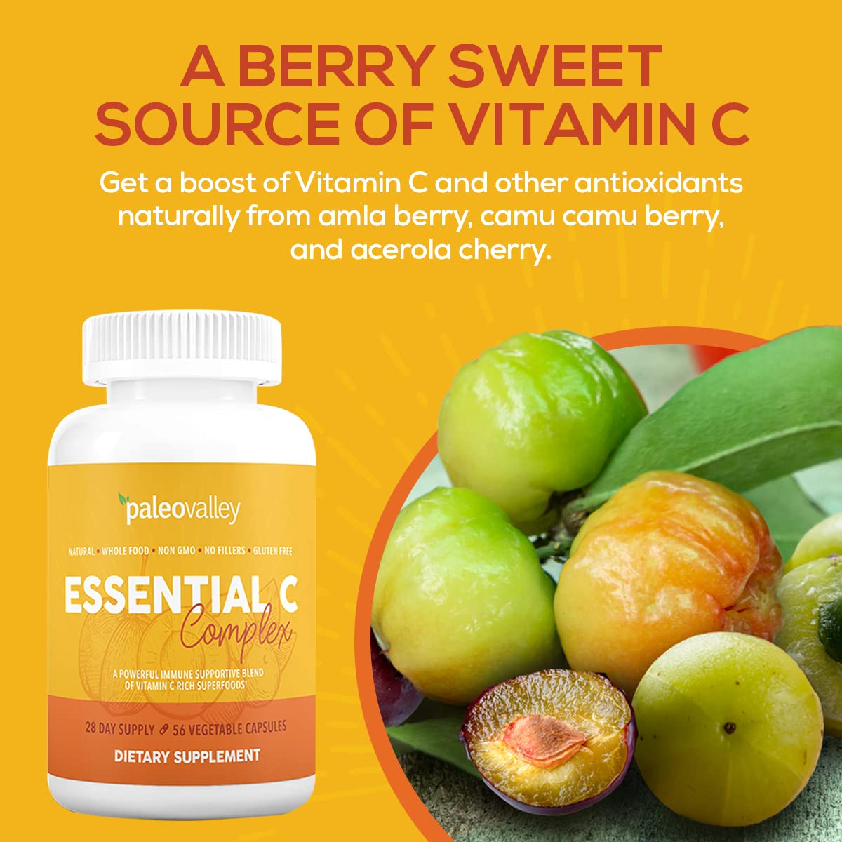 Paleovalley Essential C Complex - Vitamin C Supplement for Immune Support - 1 Pack, 450mg - Organic Superfoods Unripe Acerola Cherry, Camu Camu, Amla Berry - FENGGESTORE20