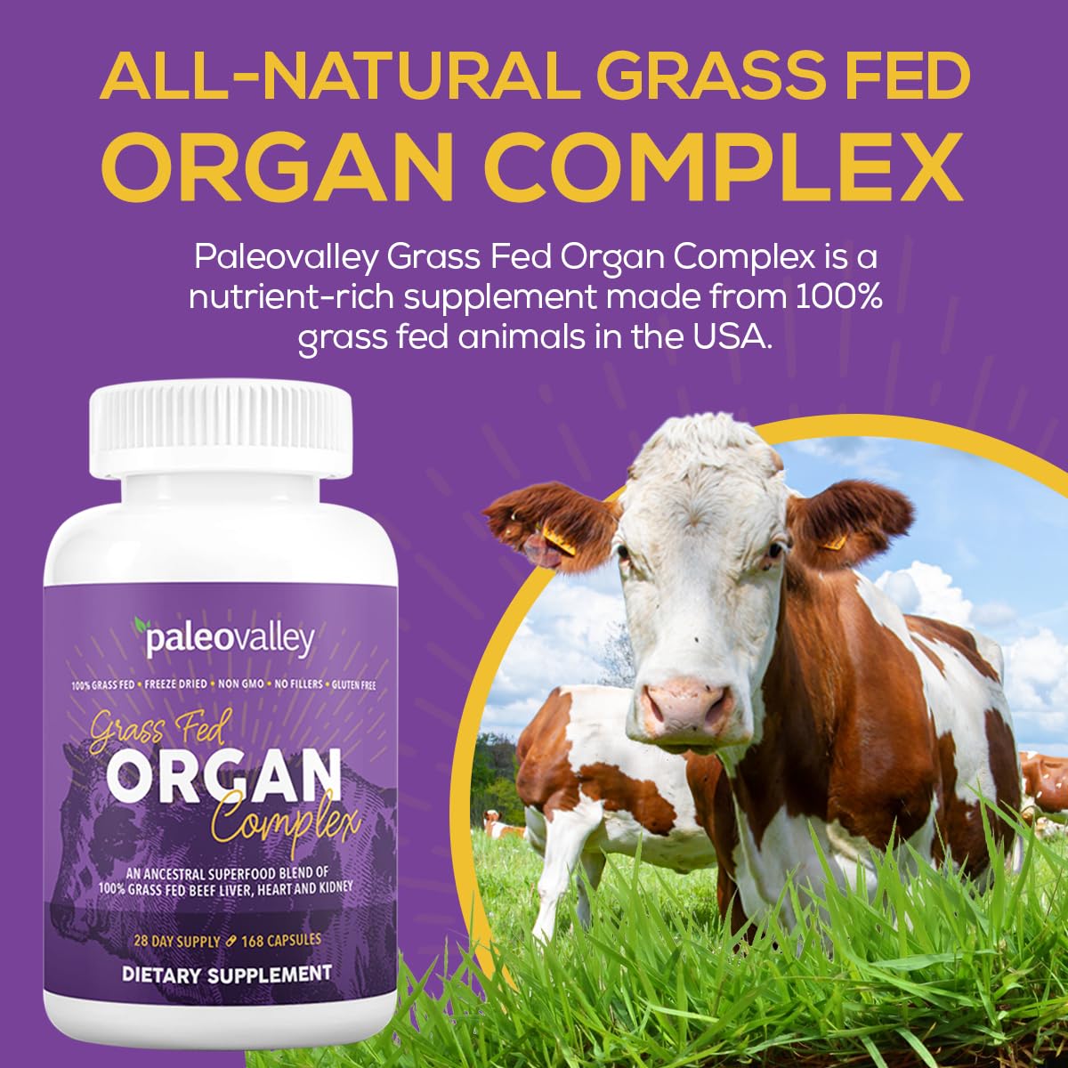 Paleovalley Grass Fed Beef Organ Complex - Freeze-Dried Beef Liver, Heart, and Kidney Blend, 1 Bottle - FENGGESTORE20