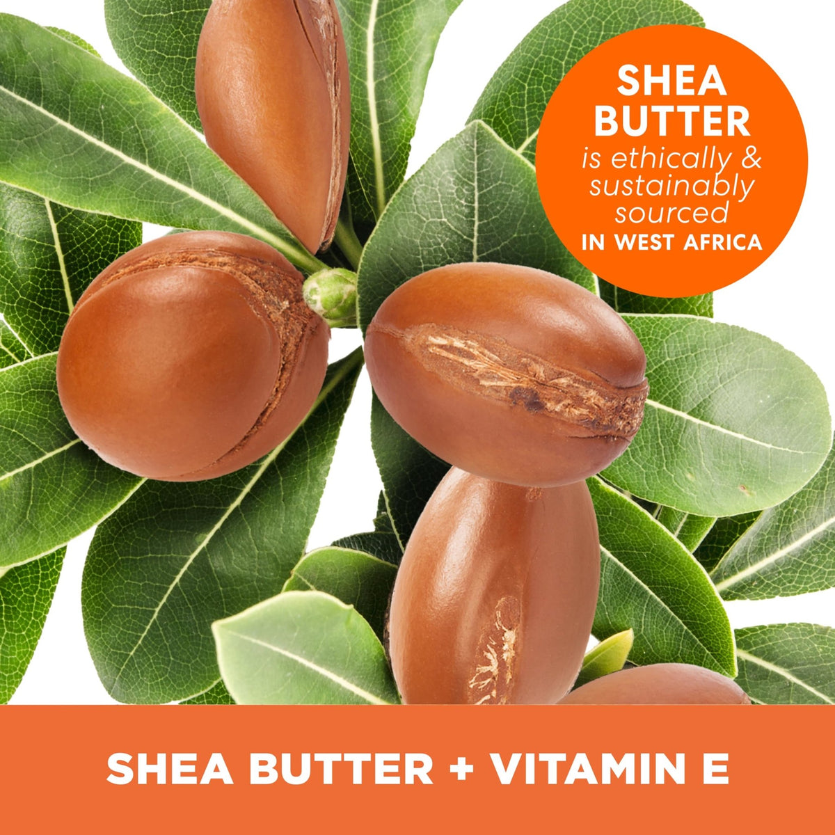 Palmer's Shea Butter Formula Raw African Shea Butter Balm, Nourishing Body Moisturizer - FENGGESTORE20