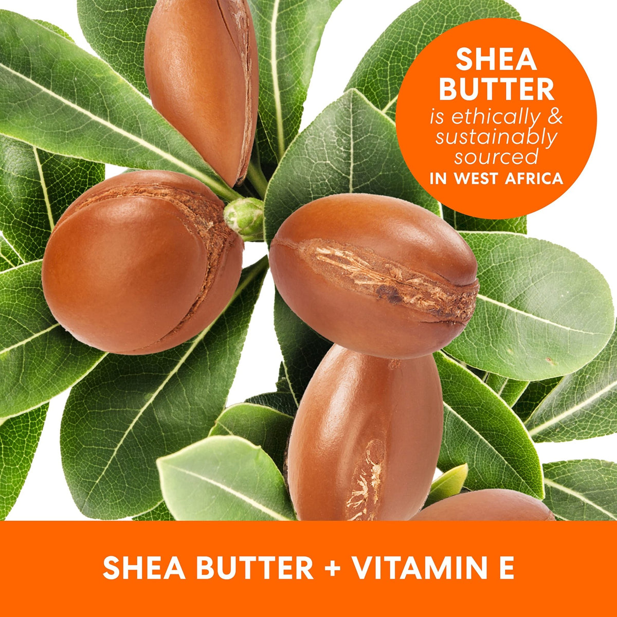 Palmer's Shea Formula Raw Shea Body Oil with Vitamin E, Deep Body Moisturizer to Soothe - FENGGESTORE20