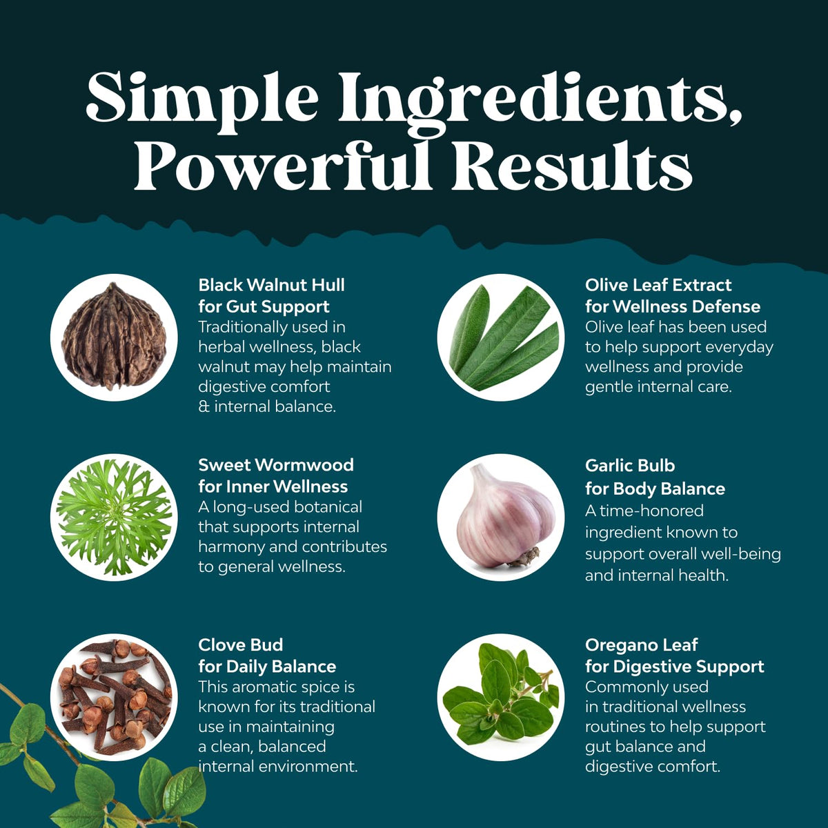 PARA-X Herbal Gut Health Supplement - Immune Support with Black Walnut Wormwood & Cloves - Supports Digestive Health & Gut Health for Women & Men - FENGGESTORE20