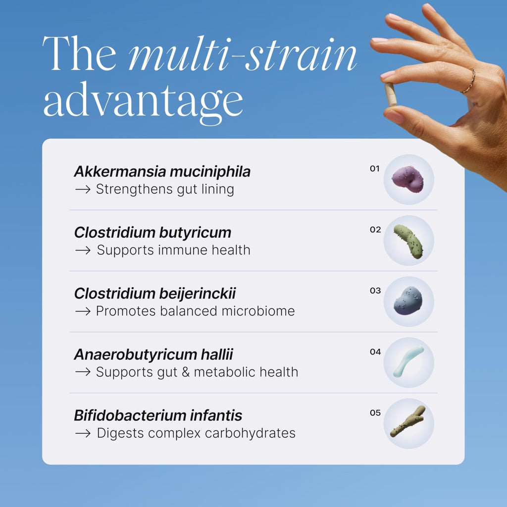 Pendulum Metabolic Daily - Multi-Strain Probiotic with Akkermansia muciniphila to Support Metabolism and Sustain Energy Levels - FENGGESTORE20