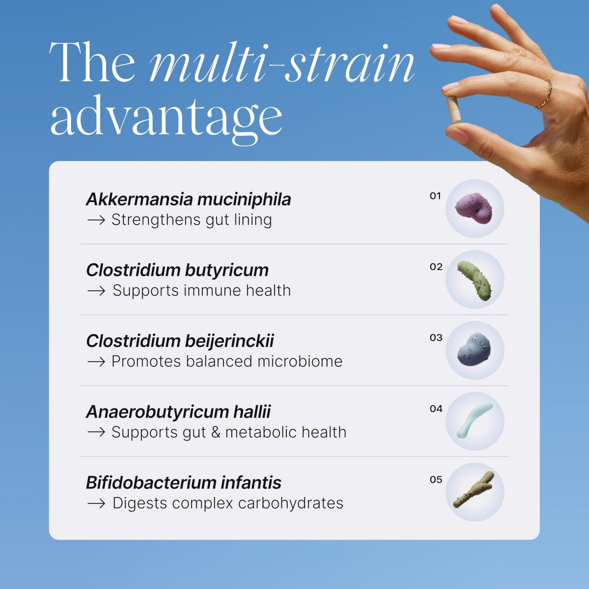 Pendulum Metabolic Daily - Multi-Strain Probiotic with Akkermansia muciniphila to Support Metabolism and Sustain Energy Levels - FENGGESTORE20