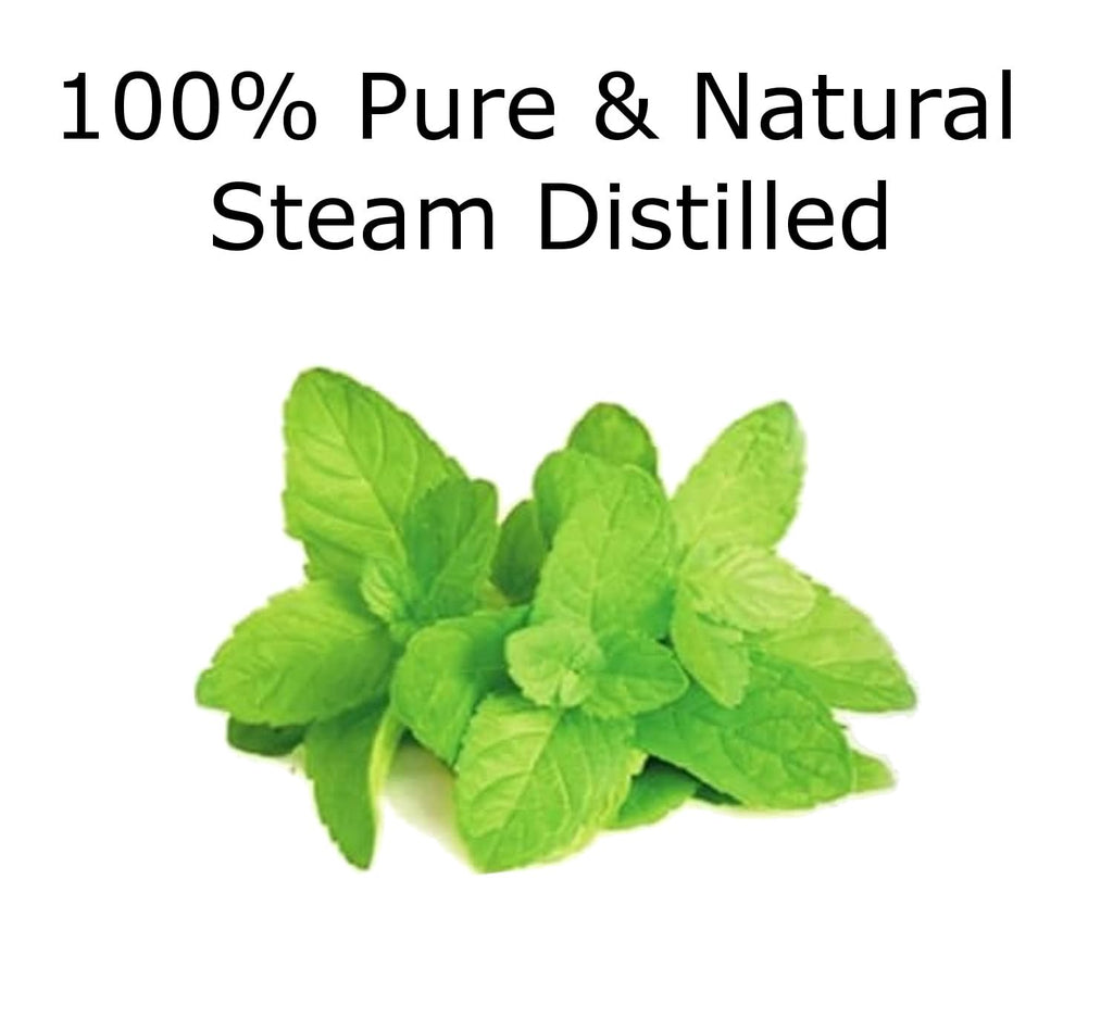 Peppermint Essential Oil 4 oz. with Huge Glass Bottle, Glass Dropper, and Sprayer. Detailed User's Guide E-Book - FENGGESTORE20