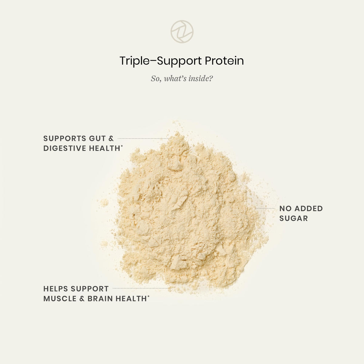 Perelel Triple-Support Plant Based Protein Powder, Creamy Vanilla, 20g Vegan Protein Powder, 3g Creatine Monohydrate, & 5g Prebiotic Fiber per Serving, Dairy Free, - FENGGESTORE20