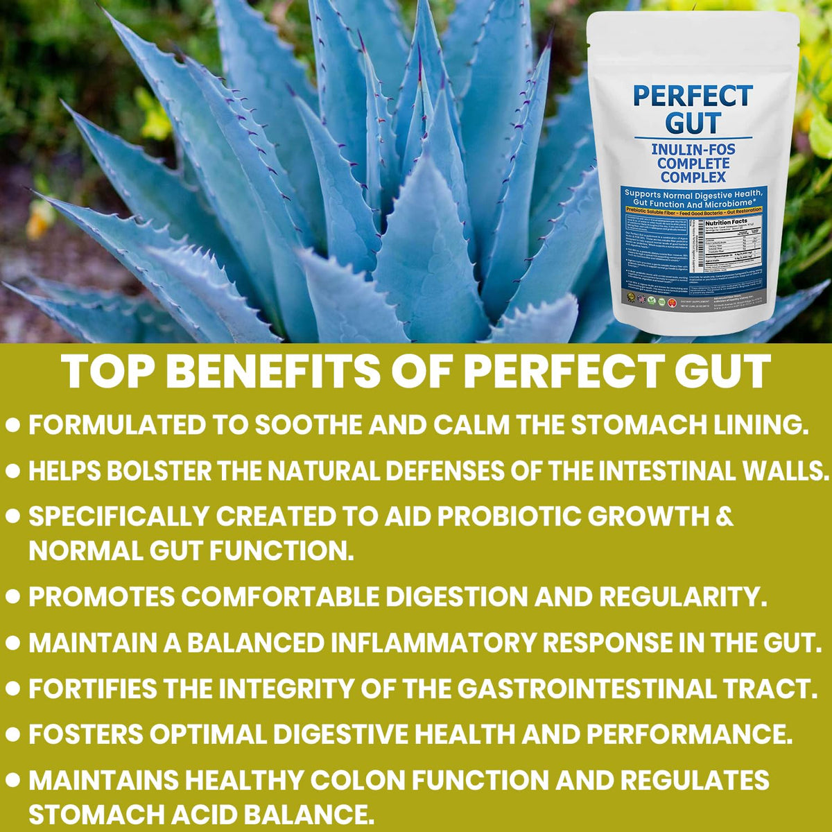 Perfect Gut: Inulin FOS Powder for Gut Health. Prebiotic Inulin. Unique Prebiotic 95% FOS Inulin Agave Fiber - FENGGESTORE20