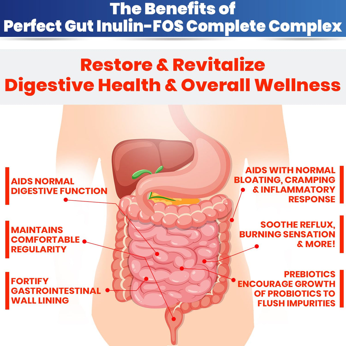 Perfect Gut: Inulin FOS Powder for Gut Health. Prebiotic Inulin. Unique Prebiotic 95% FOS Inulin Agave Fiber - FENGGESTORE20