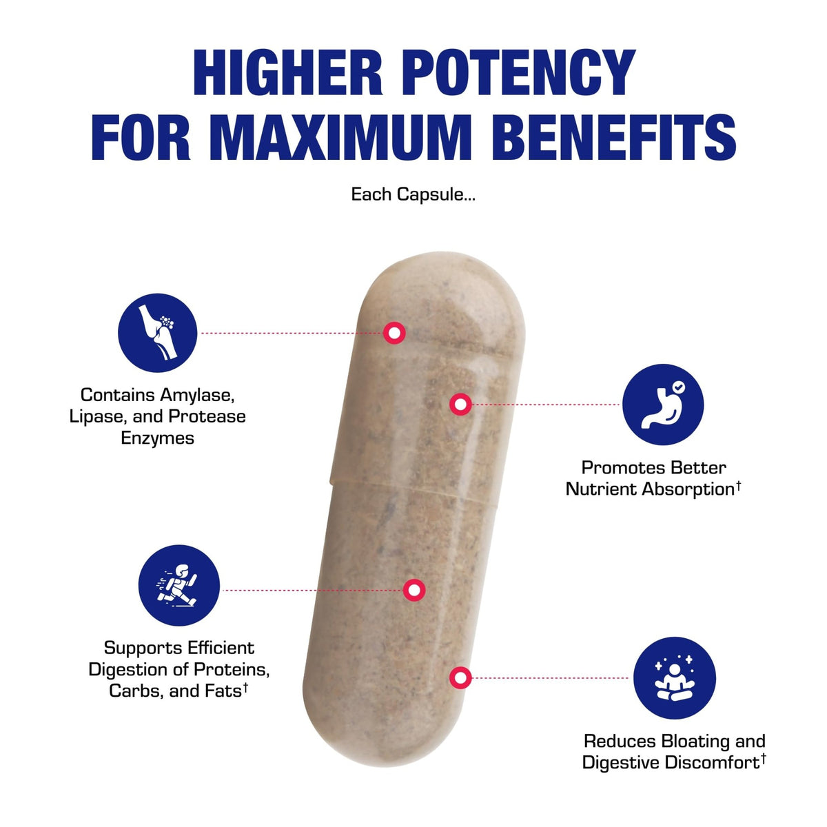 Plant Based Multi Digestive Enzymes Supplement - Clinically Formulated Digestion Supplement with Soothing Herbs and Enzymes for Women and Men - FENGGESTORE20