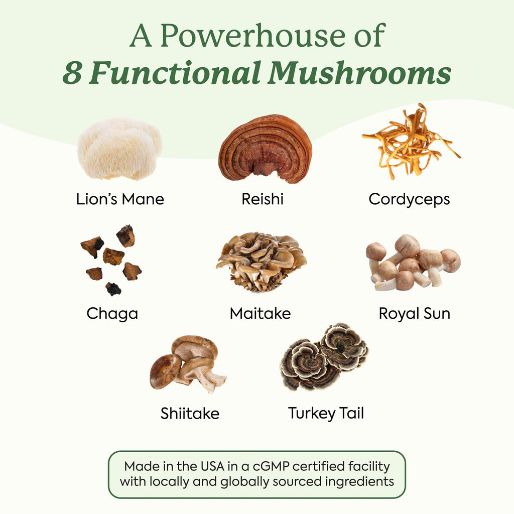 Plant People WonderDay Mushroom Gummies - Lion’s Mane, Cordyceps, Chaga Mushroom Supplement to Support Immune System De-Stress Boost Mood & Energy in Adults Natural - FENGGESTORE20