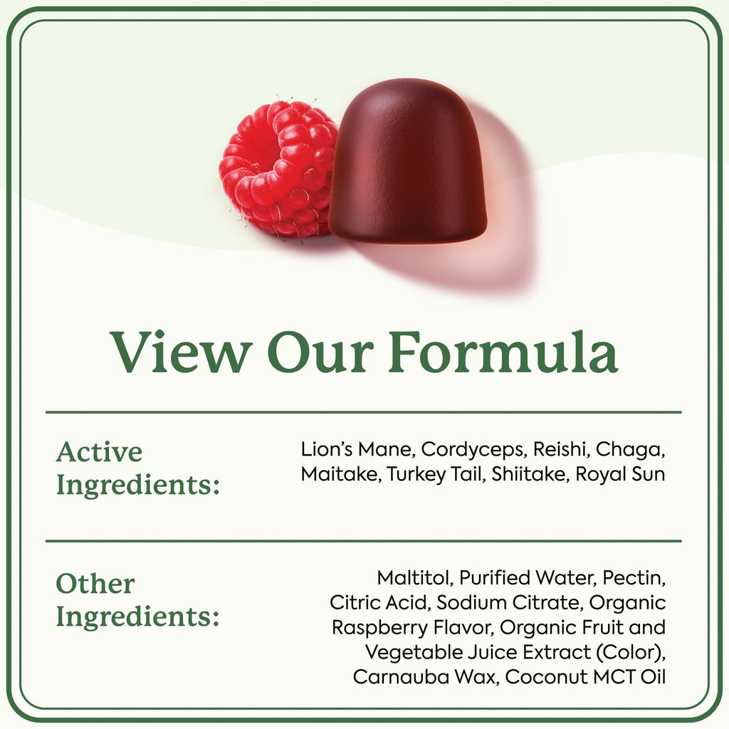 Plant People WonderDay Mushroom Gummies - Lion’s Mane, Cordyceps, Chaga Mushroom Supplement to Support Immune System De-Stress Boost Mood & Energy in Adults Natural - FENGGESTORE20