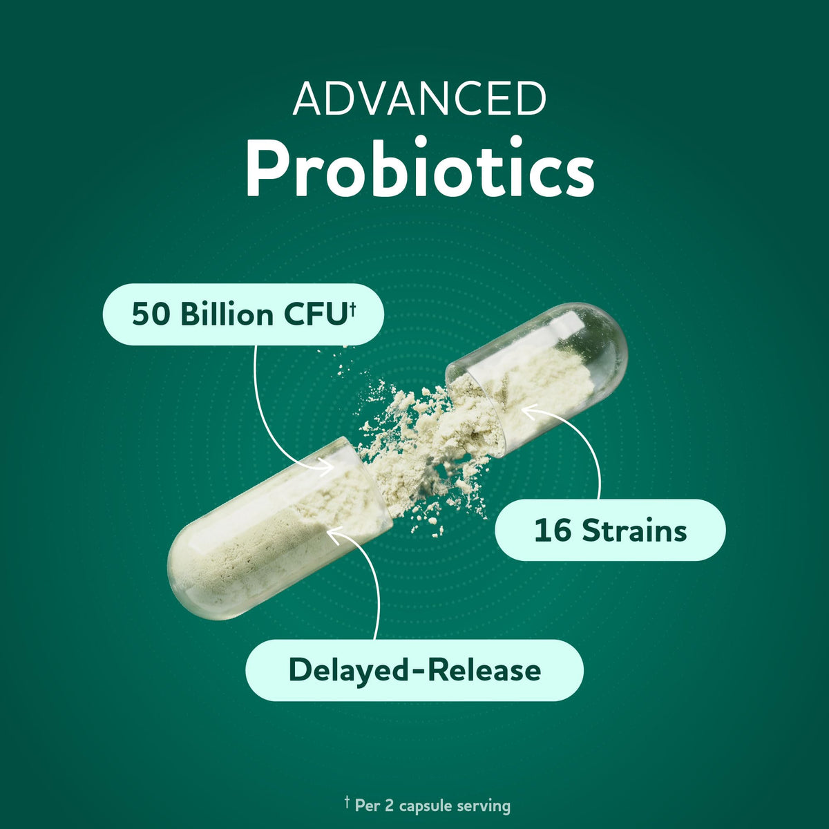 Prebiotics and Probiotics | 50 Billion CFU, 16 Probiotic Strains & Inulin Prebiotic Fiber | Delayed Release Capsules | Gut Health Support | Prebiotics and Probiotics for Women & Men | Non-GMO | 60 Ct - FENGGESTORE20