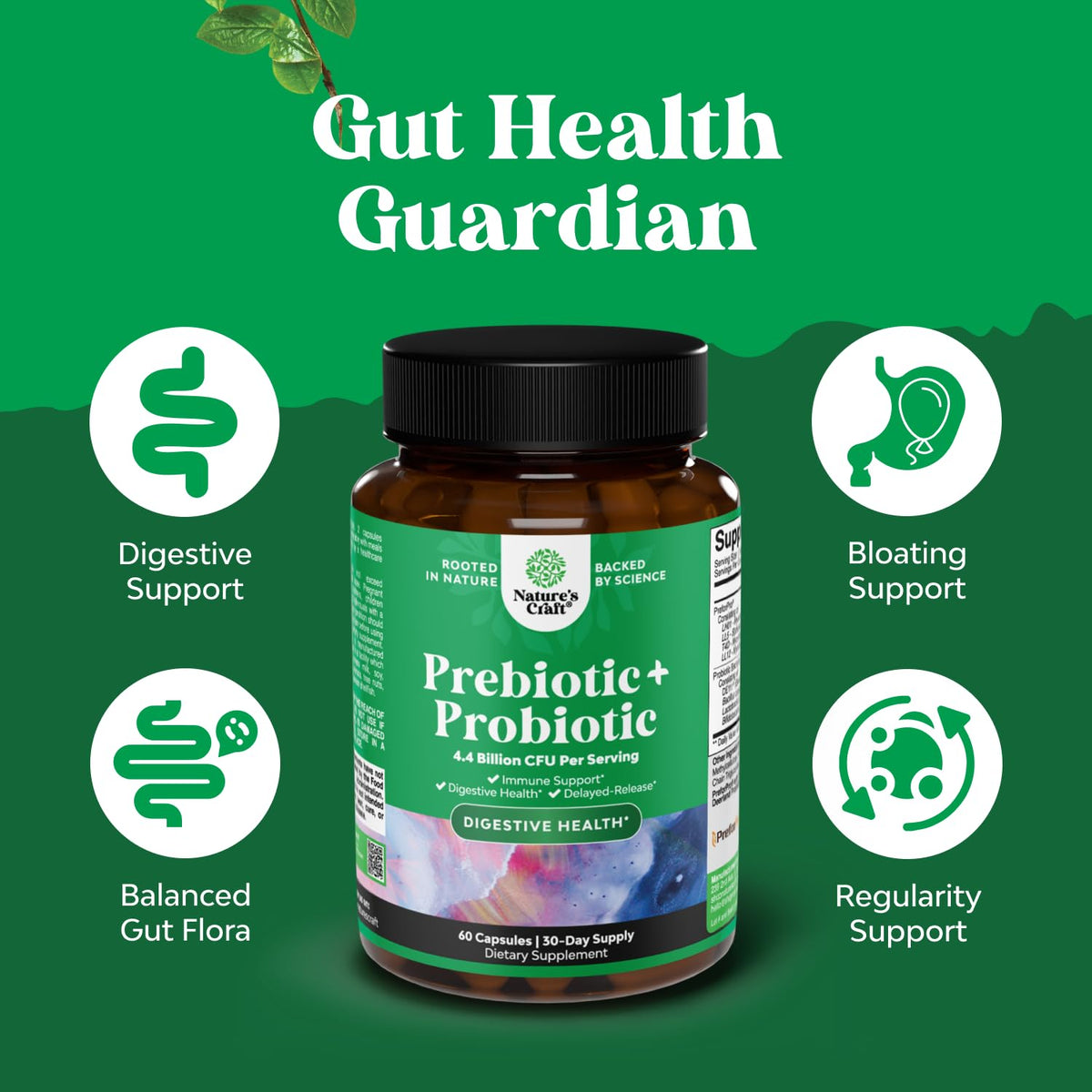 Prebiotics and Probiotics Gut Health Supplement-Super Potent Digestive Health Acidophilus Probiotic Capsules with Men & Womens Probiotics & Prebiotics - FENGGESTORE20