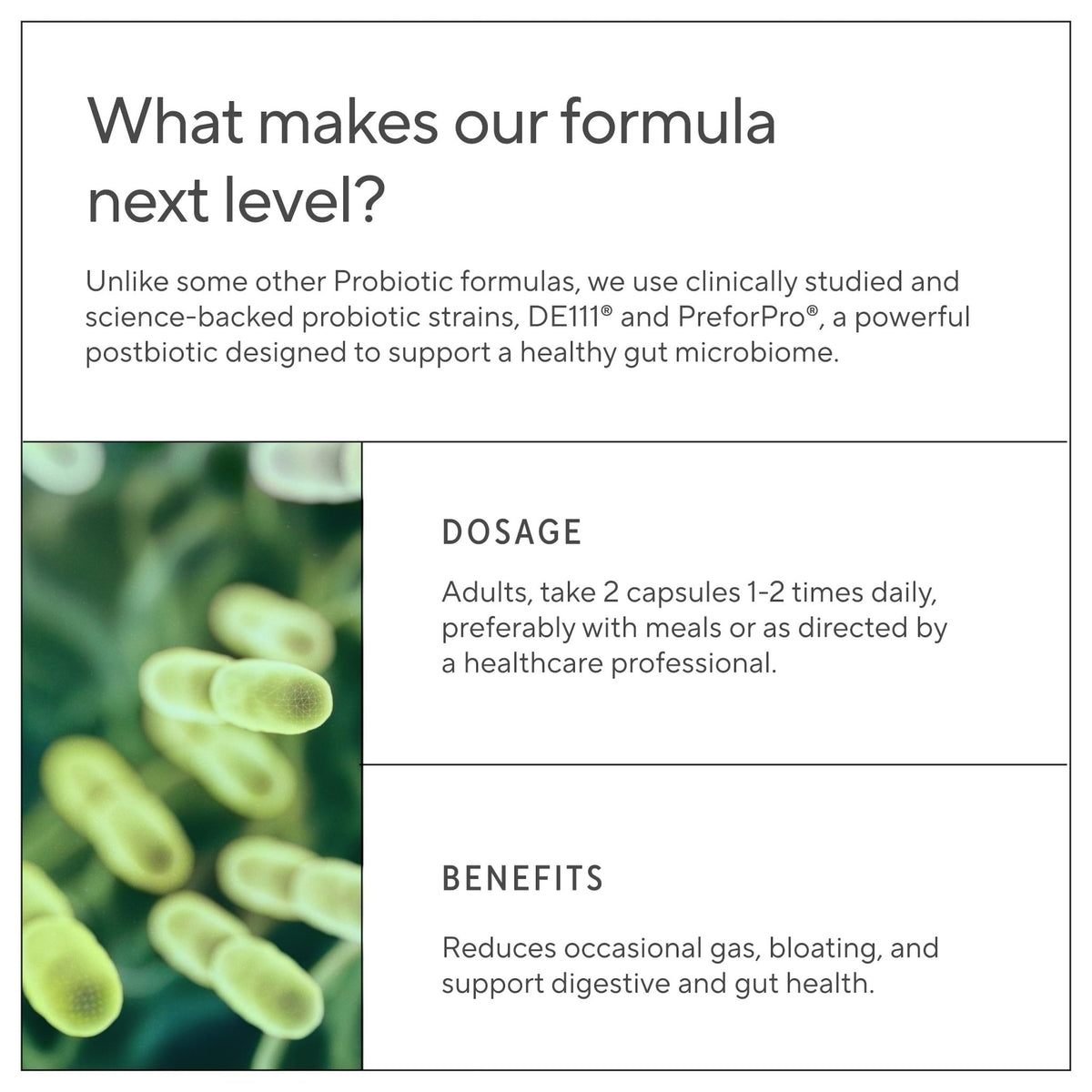 Premium 4-in-1 Probiotic Prebiotic, Postbiotic & Digestive Enzymes for Men & Women – Supports Gut, Digestion & Immunity –Complete Gut Health with Pre, Post - FENGGESTORE20