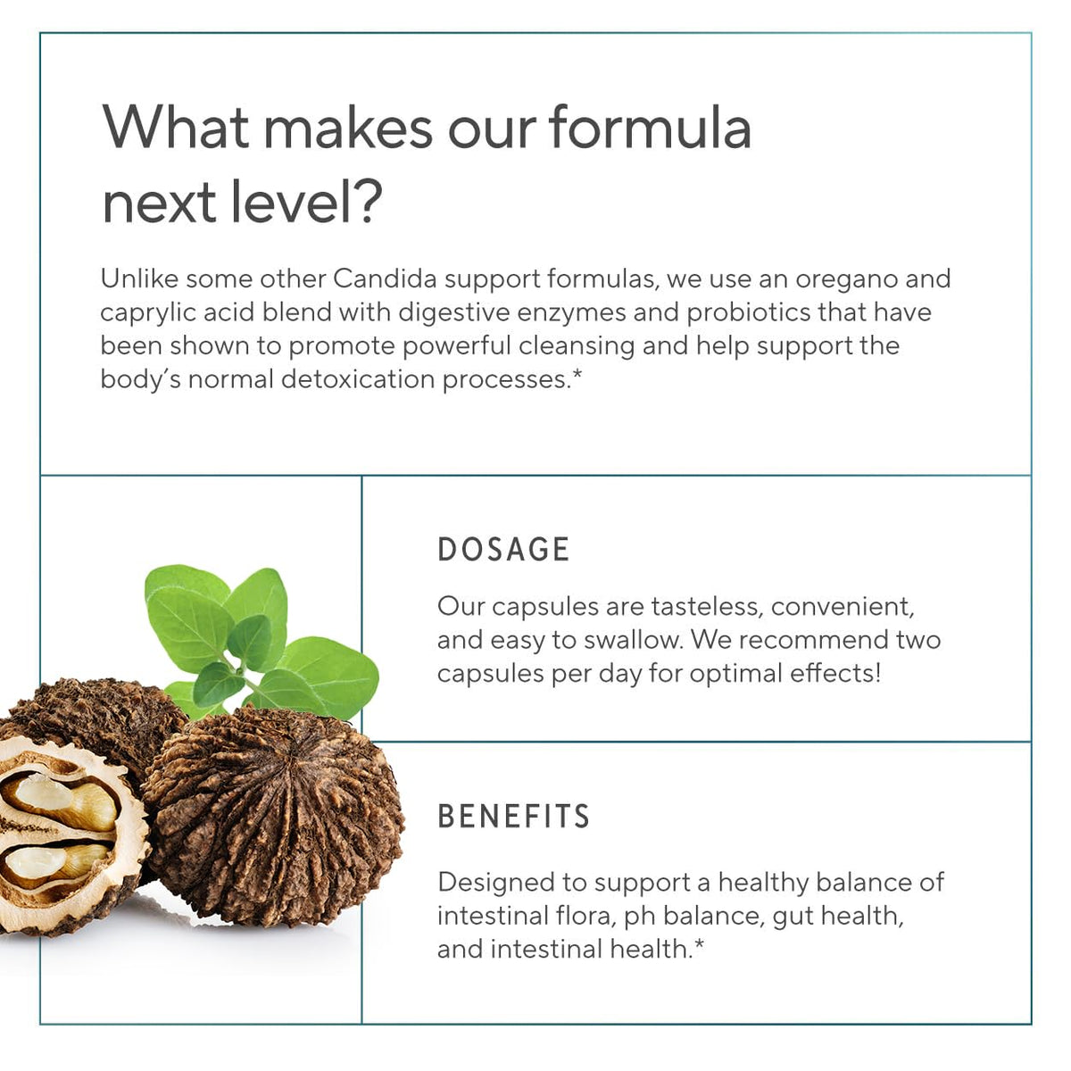 Premium Candida Cleanse Supplement – Candida Support Supplement with Oregano, Caprylic Acid, Black Walnut & Probiotics – Supports Gut Health, - FENGGESTORE20