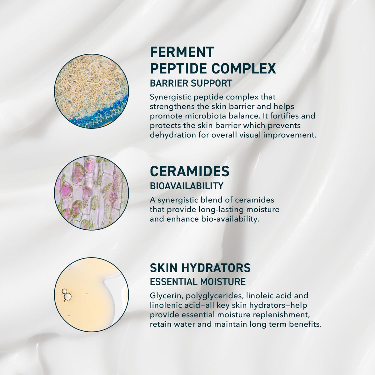 Prequel Skin AM/PM Modern Moisturizer – Hydrating Face Cream with Peptides, Ceramides - FENGGESTORE20