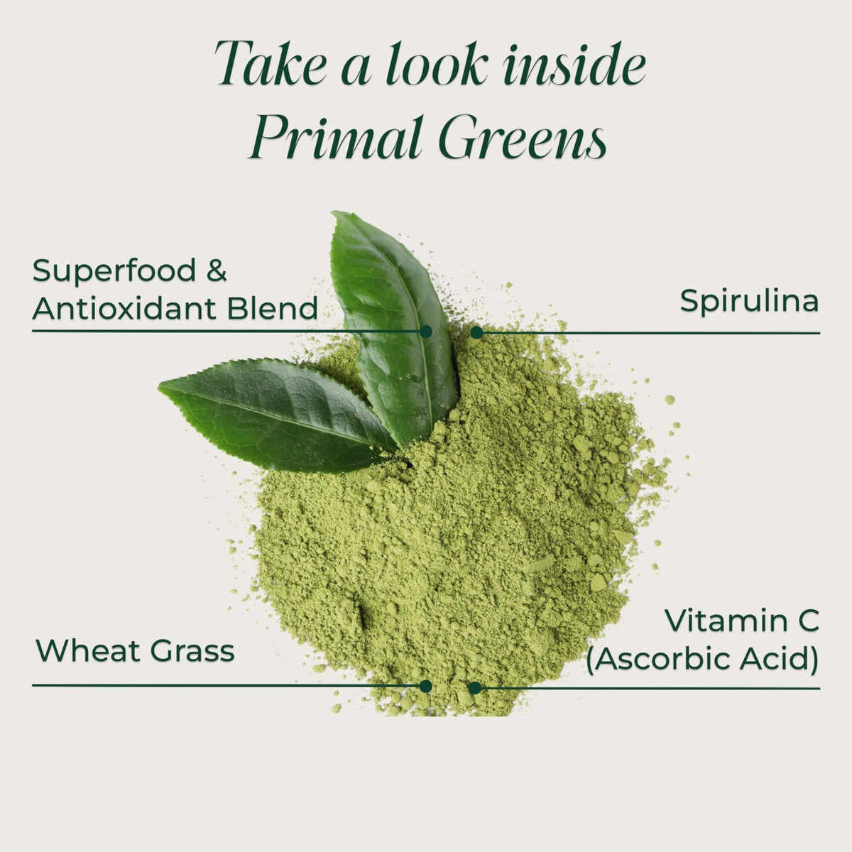 Primal Harvest Super Greens Powder, 30 Servings w/+50 Greens Superfood Chlorella, Probiotics, Green Tea, Wheatgrass, - FENGGESTORE20