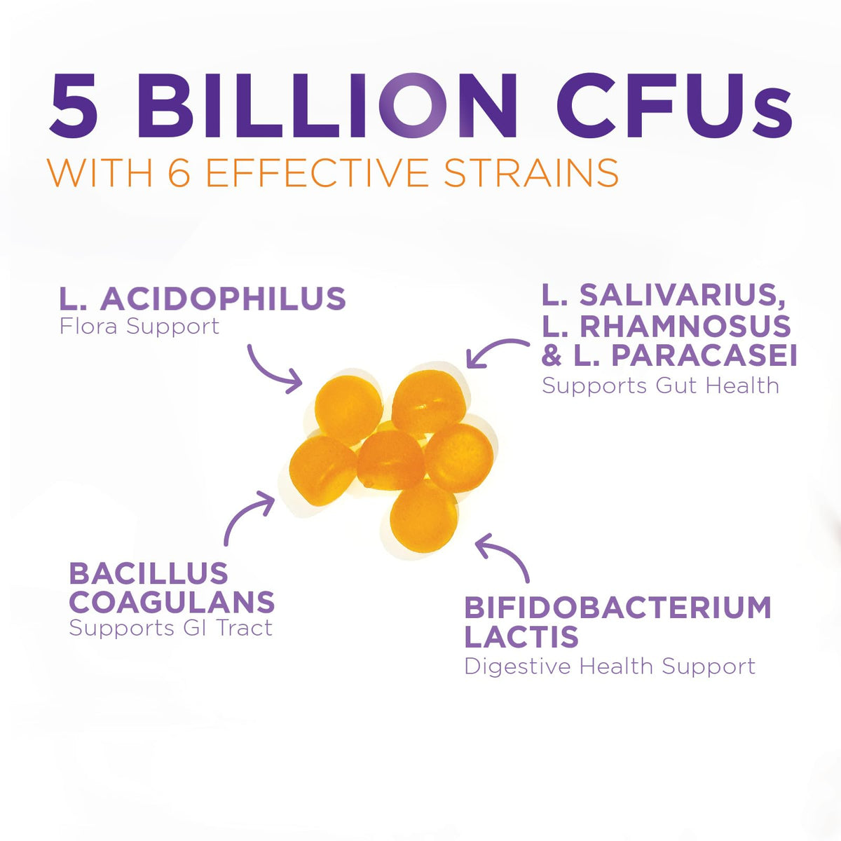 Probiotic Gummies - Advanced Multi-Strain Probiotic Formula - Gut & Digestive Health Support Gummy - Bacillus Coagulans 5 Billion CFU Per Serving, Daily Acidophilus Probiotics Supplement - 120 Gummies - FENGGESTORE20