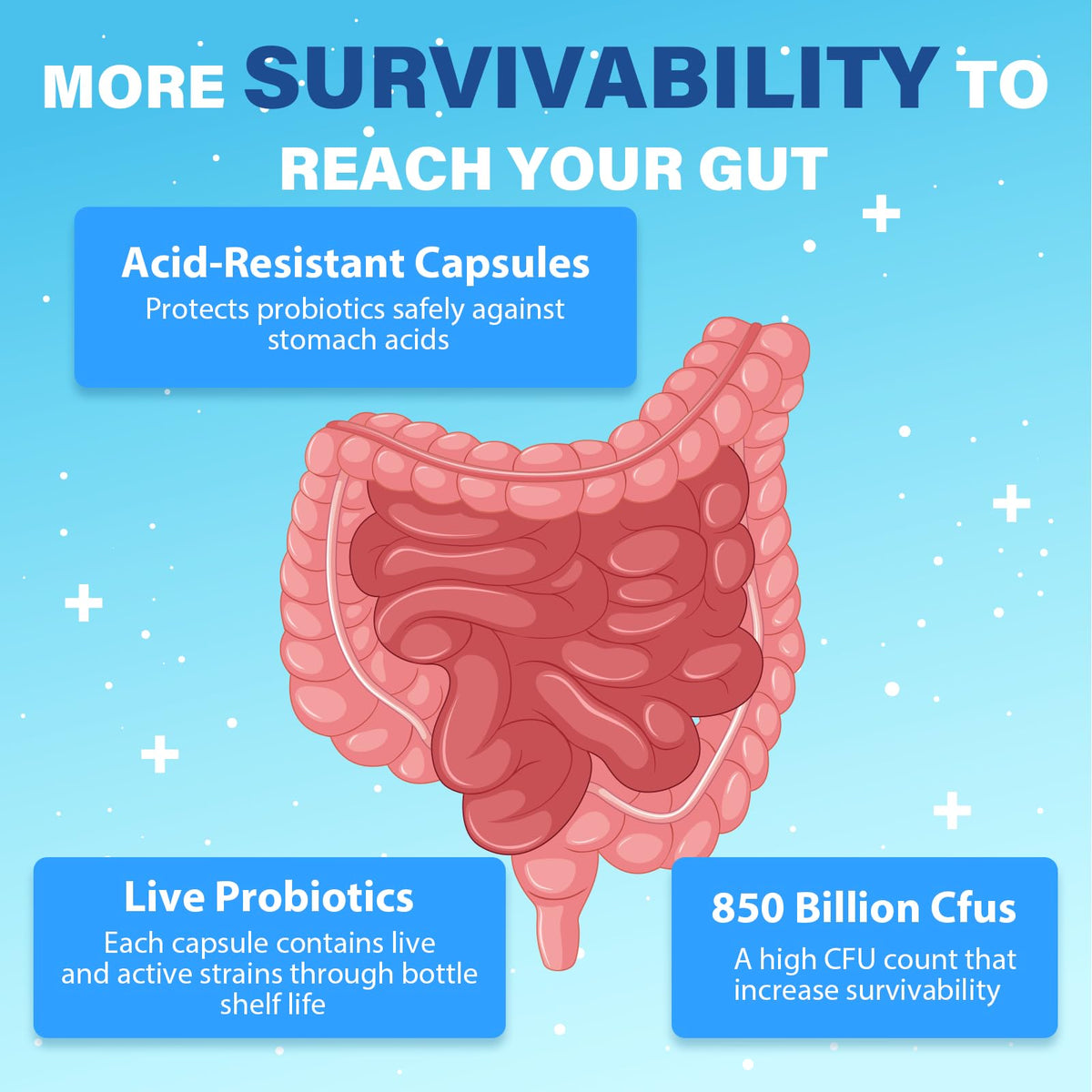 Probiotics for Men, Advanced 50+ Mens Probiotic, Comprehensive Gut & Energy Support with 850 Billion CFU, 1800mg Prebiotics Fiber – Tailored Wellness mens probiotics - FENGGESTORE20