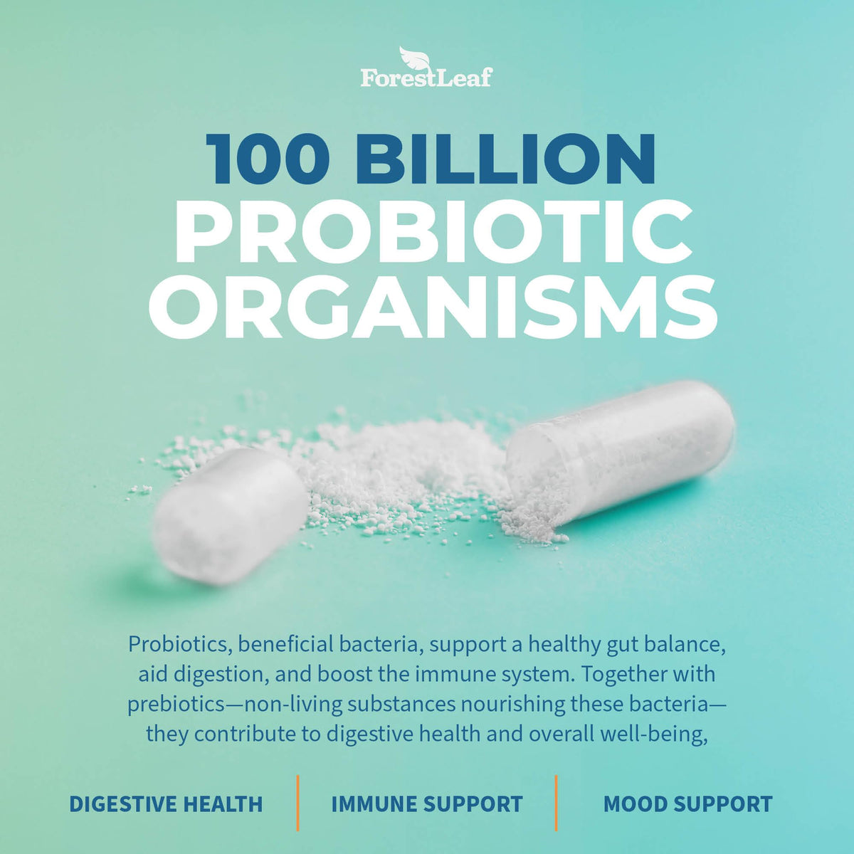 Probiotics for Men and Women, 100 Billion CFU, 26 Unique Strains, Men's and Women's Probiotic and Prebiotics Support Digestive Health, Gut Wellness, Energy, - FENGGESTORE20