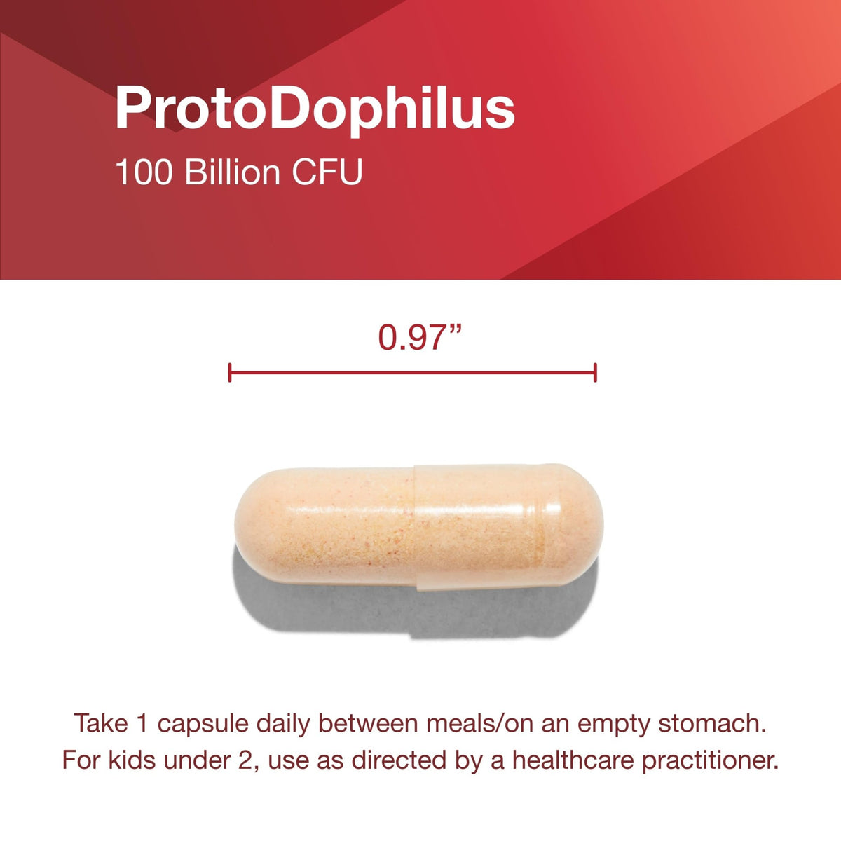 PROTOCOL FOR LIFE BALANCE Proto Dophilus 100 Billion 10 Strains - Support Digestive Gut Health Immune System & Detox - Dairy, Wheat, Soy & Gluten Free - Vegan & Nut Free - 30 Veg Capsules - FENGGESTORE20