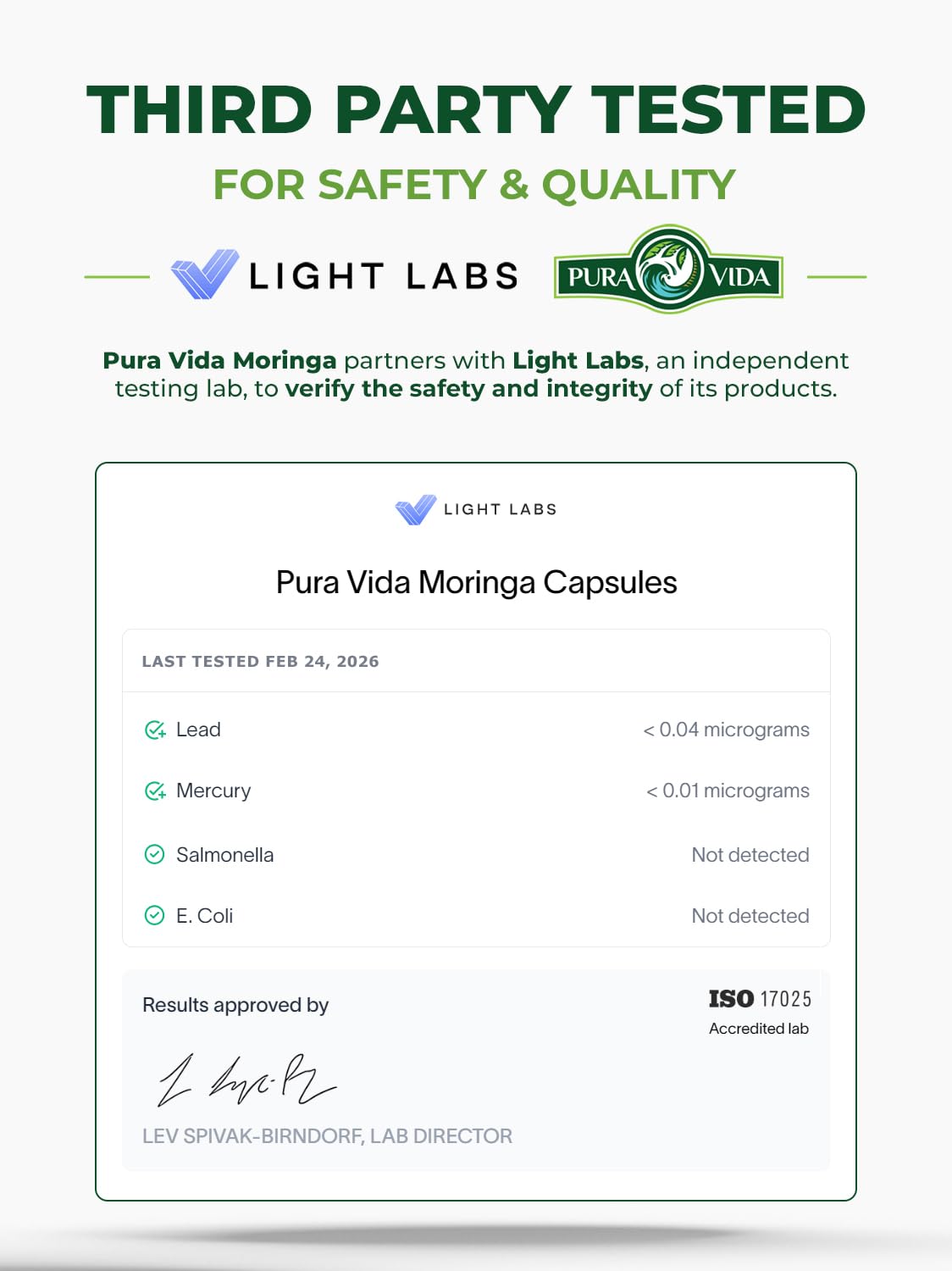 PURA VIDA MORINGA Organic Moringa Powder, Premium 100% Leaf Powder Single Origin - USDA Organic Moringa Oleifera Leaf - FENGGESTORE20