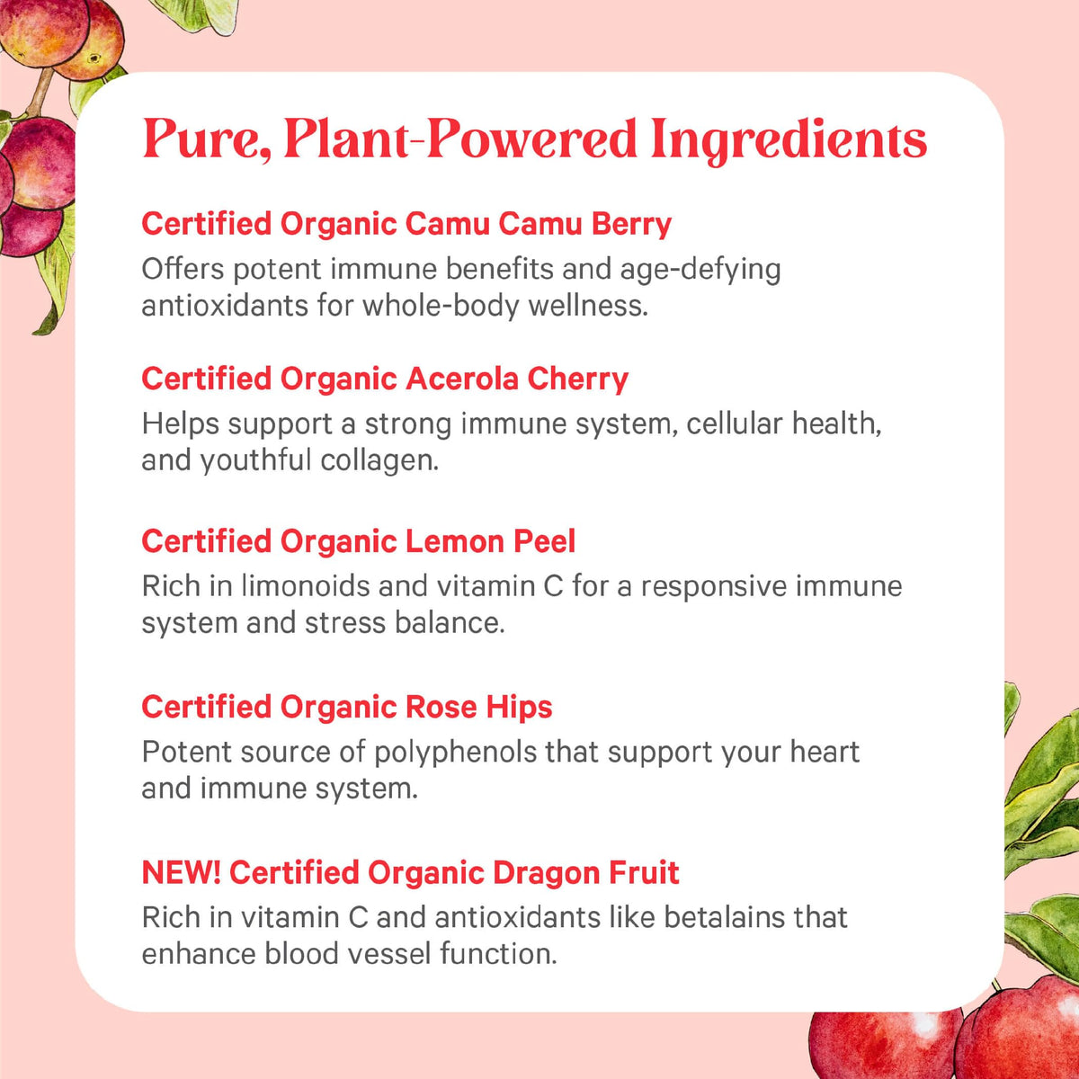 PURE SYNERGY Pure Radiance C | Organic Vitamin C Capsules | 100% Natural, Whole Food, Non-GMO Supplement with Organic Camu Camu - FENGGESTORE20