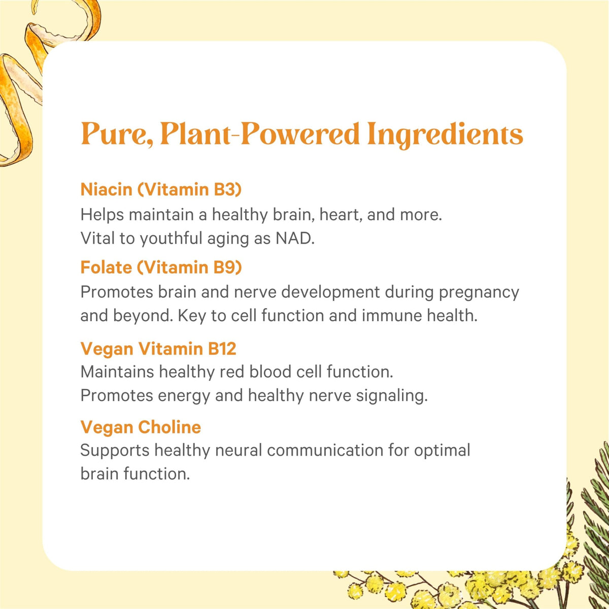 PURE SYNERGY Super B-Complex | Vitamin B Complex Made with Organic Whole Foods | Vegan Supplement with Natural Vitamin B12, Niacin, and Folate | for Energy - FENGGESTORE20