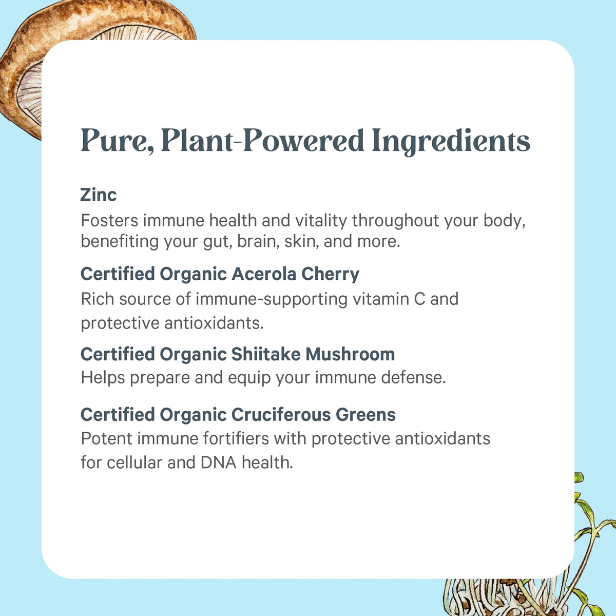 PURE SYNERGY Zinc Complex | Immune Support Supplement | Natural, Vegan Zinc Complex with Vitamin C and Organic Whole Foods | for Immune - FENGGESTORE20