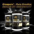 PVL Creapure Creatine – 100% Pure German Creatine Monohydrate Powder-Pharmaceutical Grade Muscle Building Supplement for Strength Training, Pre Workout & Post Workout Protein Support–410g 82 Servings - FENGGESTORE20