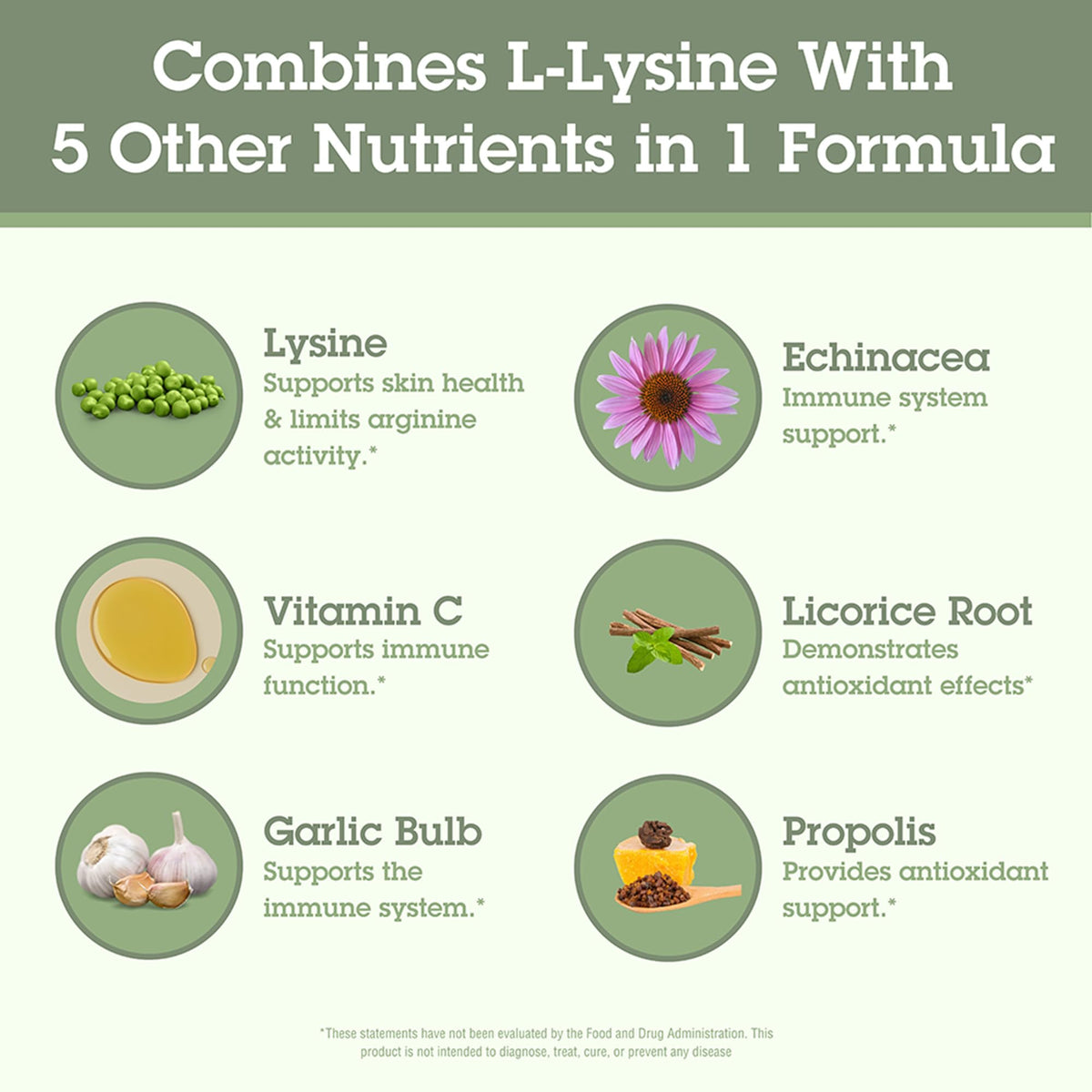 Quantum Health Super Lysine+ / Advanced Formula Lysine+ Immune Support with Vitamin C, Echinacea, Licorice, Propolis, Odorless Garlic - FENGGESTORE20