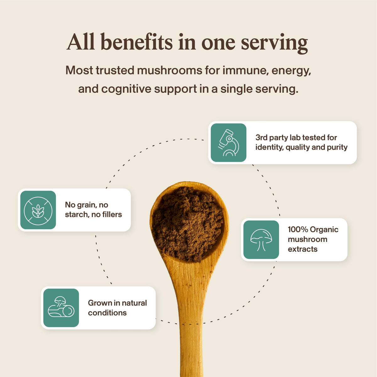 Real Mushrooms 5 Defenders - Adaptogenic Mushrooms Complex with Chaga, Reishi, Turkey Tail, Maitake & Shiitake for Wellness Support - FENGGESTORE20