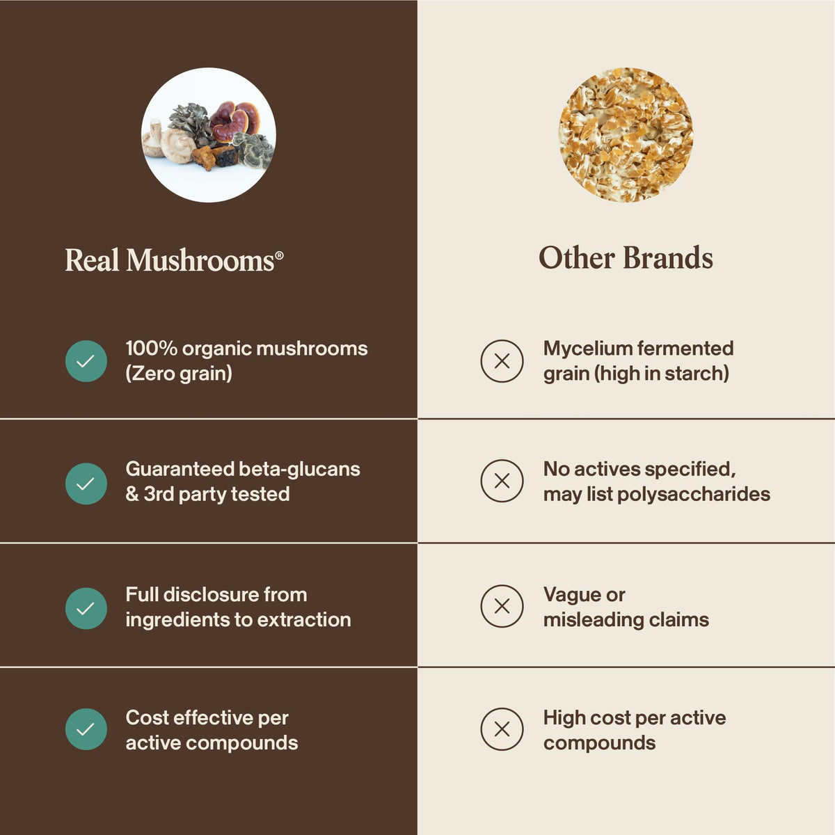Real Mushrooms 5 Defenders - Adaptogenic Mushrooms Complex with Chaga, Reishi, Turkey Tail, Maitake & Shiitake for Wellness Support - FENGGESTORE20