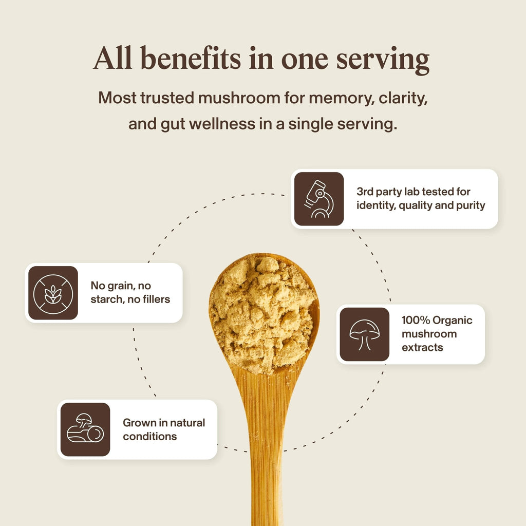 Real Mushrooms Lions Mane Mushroom Cognition (120 Capsules) Lions Mane Mushroom Powder Extract Capsules - FENGGESTORE20