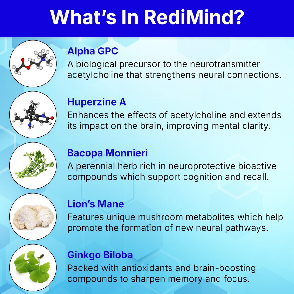 RediMind - Natural Cognitive Enhancement Supplement Capsule - Non-GMO, Vegan, Gluten-Free - FENGGESTORE20