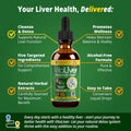 Rejuvica Health VitaLiver | Liver Cleanse & Detox Drops | Milk Thistle, Artichoke, Chanca Piedra & Dandelion Extract | Fatty Liver Support Repair - FENGGESTORE20